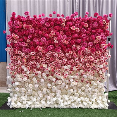 خلفية حائط زهرة الورد